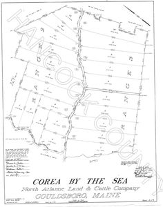 Map54Lot18 Grand Marsh Bay Rd, Gouldsboro, ME, 04607