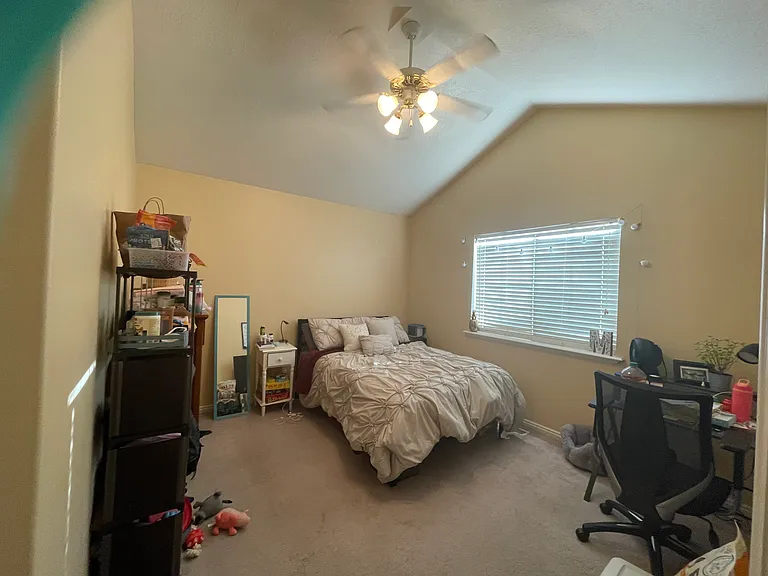 Primary suite with Vaulted ceilings *it now has LVP as seen in the other pictures __