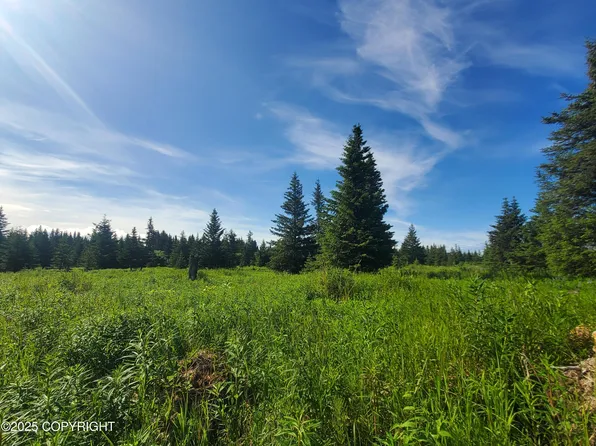 17584 Chefornak St, Ninilchik, AK 99639