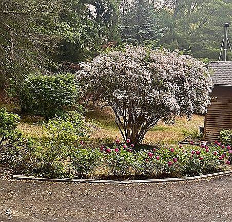 2nd image of 9 Pine Castle Dr