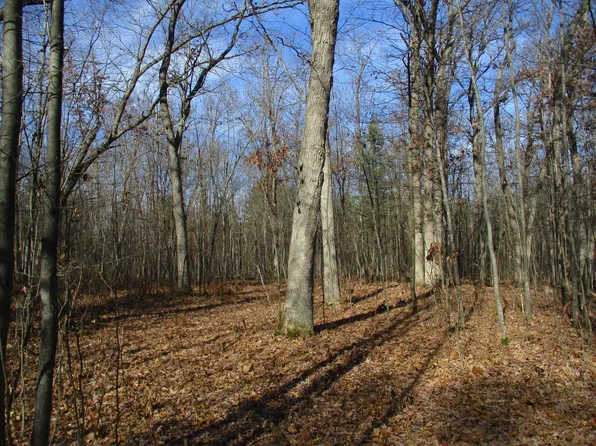 0 Say Hi Rd, Springbrook, WI 54875