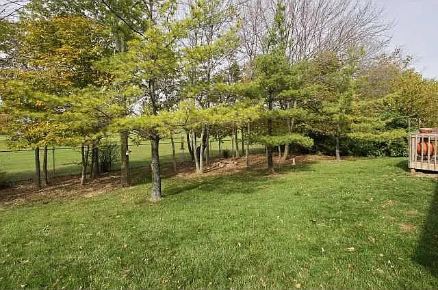 4 bed, 1438 sqft, $1,700 — Photo 3