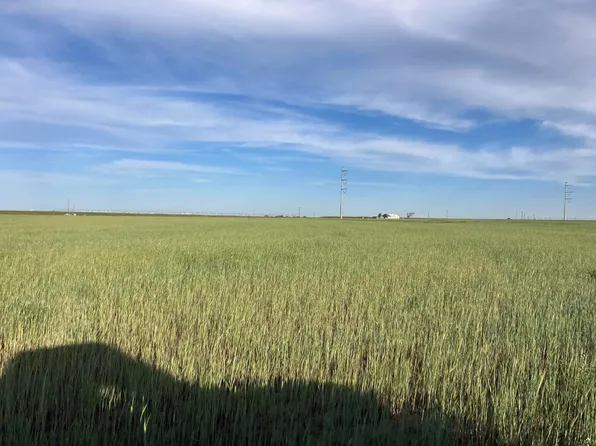 4 Fm 2192, Wilson, TX 79381