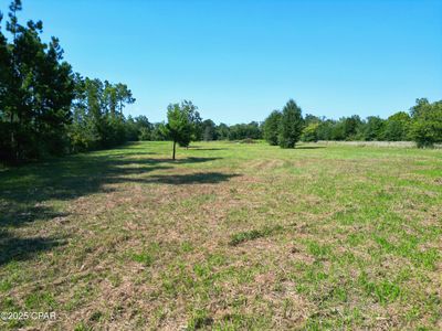 NW County Road 274, Altha, FL, 32421