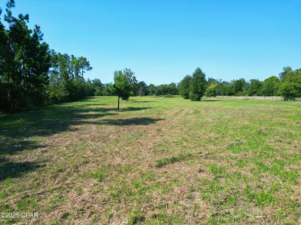 NW County Road 274, Altha, FL 32421