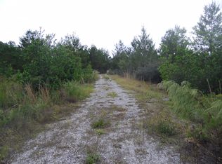 0 Black Lake Road #4, Osteen, FL 32764