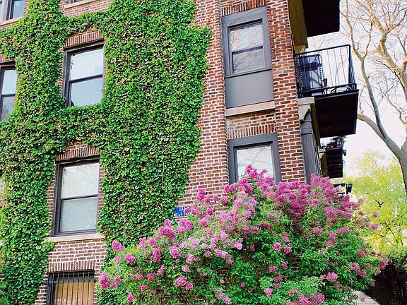 3rd image of 1124 W Farwell Ave #3S
