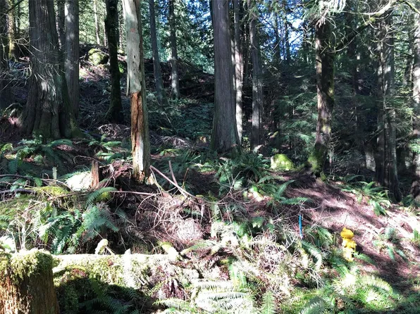 10 Thunder Peak Way, Bellingham, WA 98229