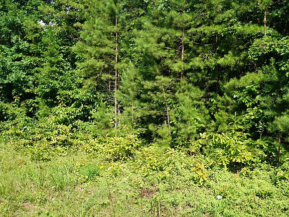 4th image of 0 Wallace Way Lot 22
