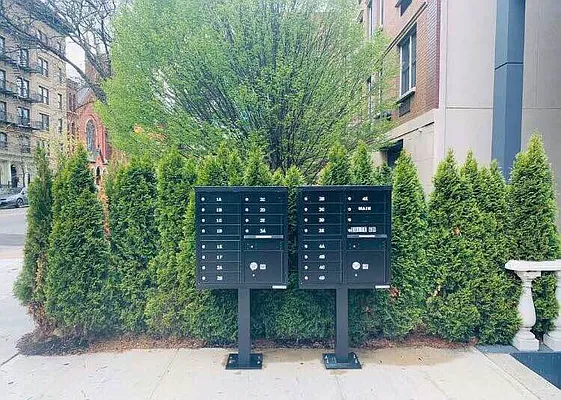 Rented by CT Green Management LLC | media 15