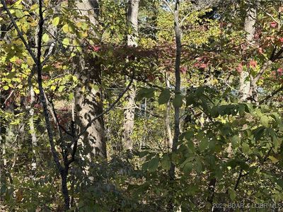 Wundurvue Cir, Climax Springs, MO, 65324