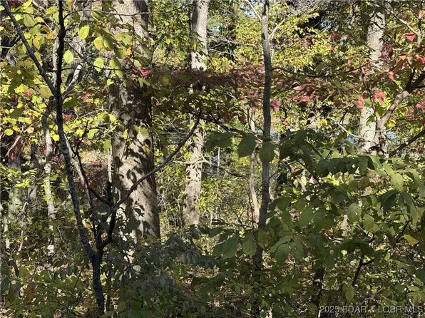 Wundurvue Cir, Climax Springs, MO 65324