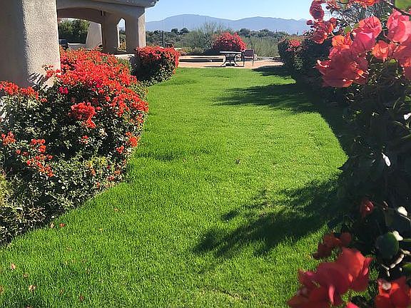 Garden view to the East
