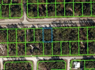 3234 Lake June Blvd, Lake Placid, FL 33852