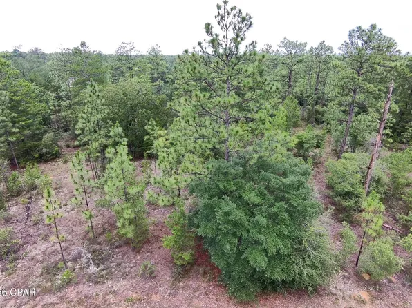 LOT 24 Newmoon Dr, Chipley, FL 32428