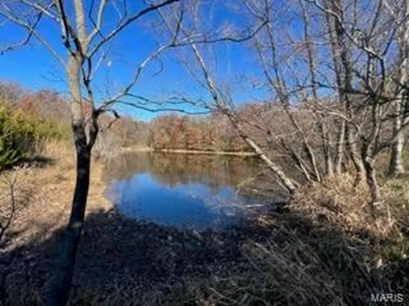 0 Highway 61, Frankford, MO 63441