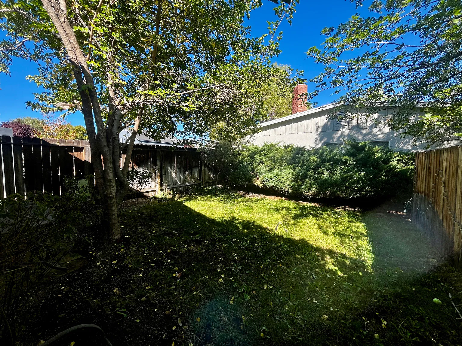 1 bed, 680 sqft, $1,900 — Photo 4