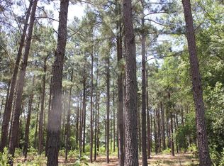 640 County Road 2218, Tennessee Colony, TX 75861