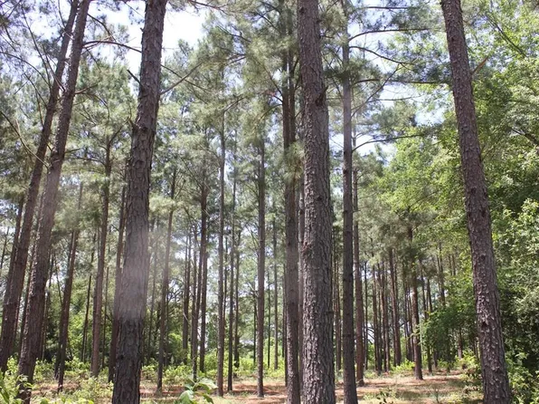 640 County Road 2218, Tennessee Colony, TX 75861