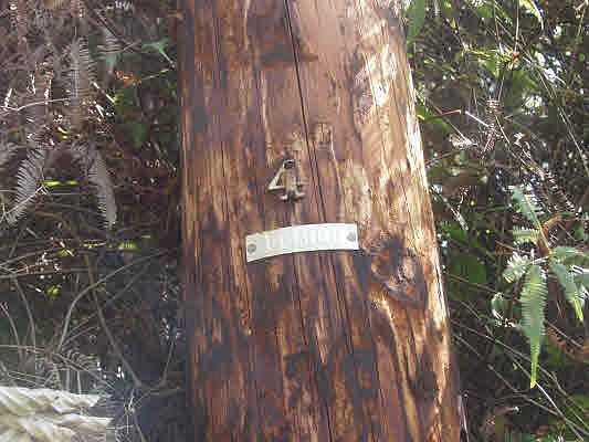 2nd image of 34th Ave Lot 51