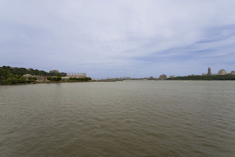 actual view