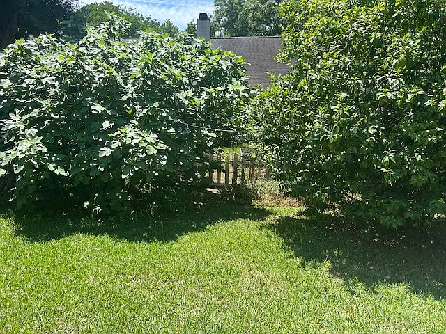 135 Revolution Dr — Photo 18