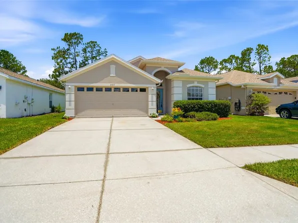 23915 Coral Ridge Ln, Land O Lakes, FL 34639