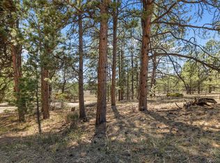 349 Rhyolite Lane LOT 34, Florissant, CO 80816