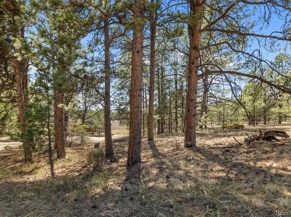 349 Rhyolite Lane LOT 34, Florissant, CO 80816