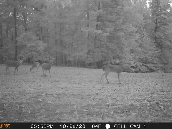 0 Doyle Rd Lot Wp001, Middleton, TN 38052