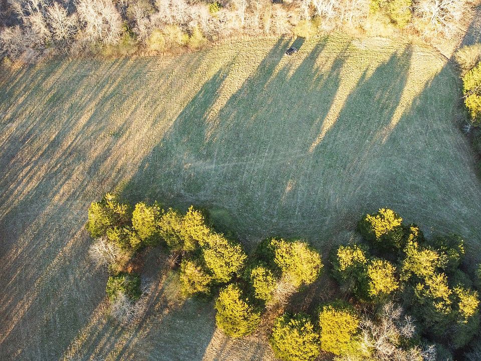 13th image of this home