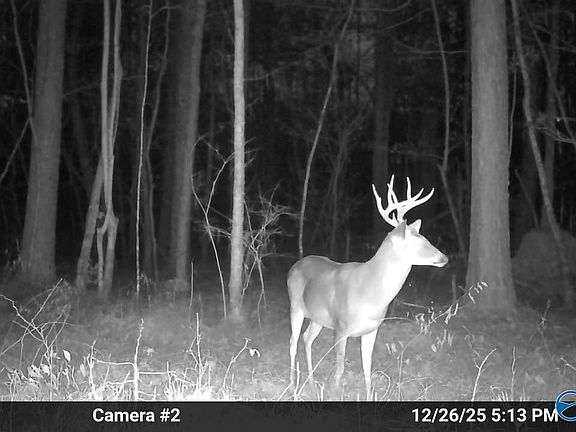 3rd image of 1 Pruitt Rd