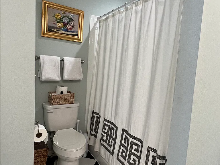 700 Daniel Ellis Dr #4208 — Photo 12