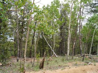 985 Princess Rd, Cripple Creek, CO 80813