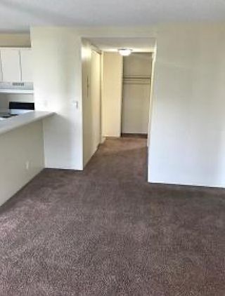 2nd image of 4130 11th Ave NE #7004