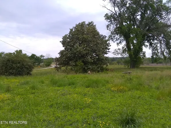 4480 River Rd, Decatur, TN 37322