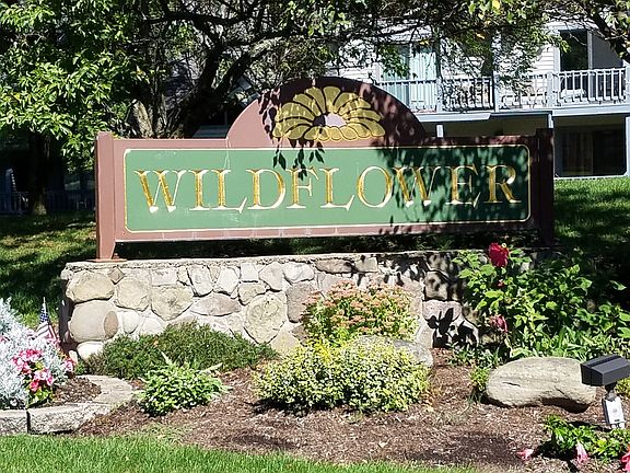 3rd image of 79 Wildflower #79