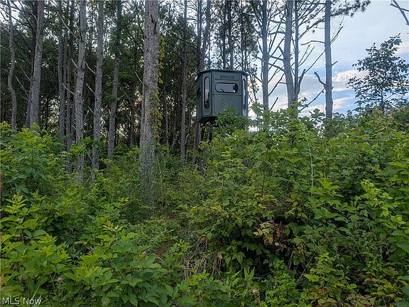 3rd image of 0 E Reinersville Rd Tract D