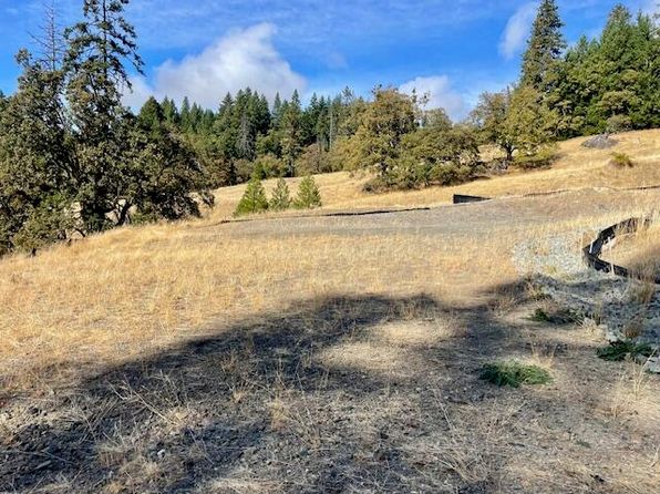 20/ACRE S Burr Valley Rd, Bridgeville, CA 95526