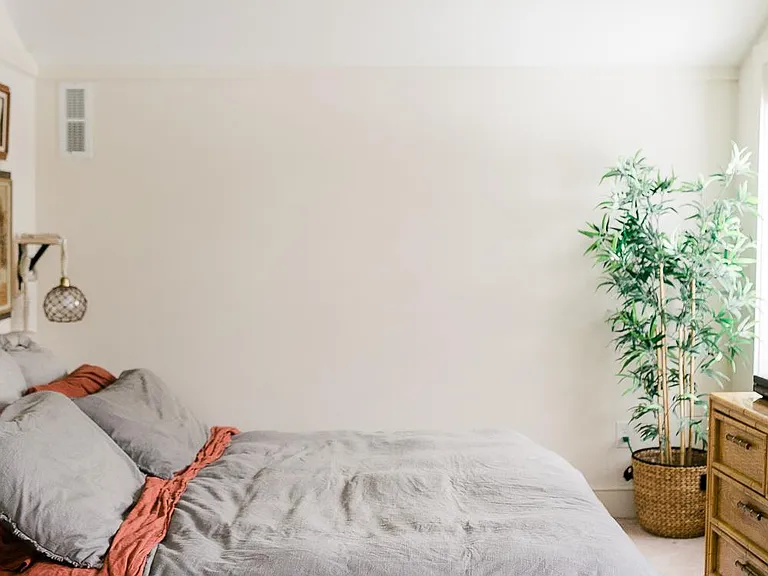 Primary bedroom with walk-in closet (king-sized bed).