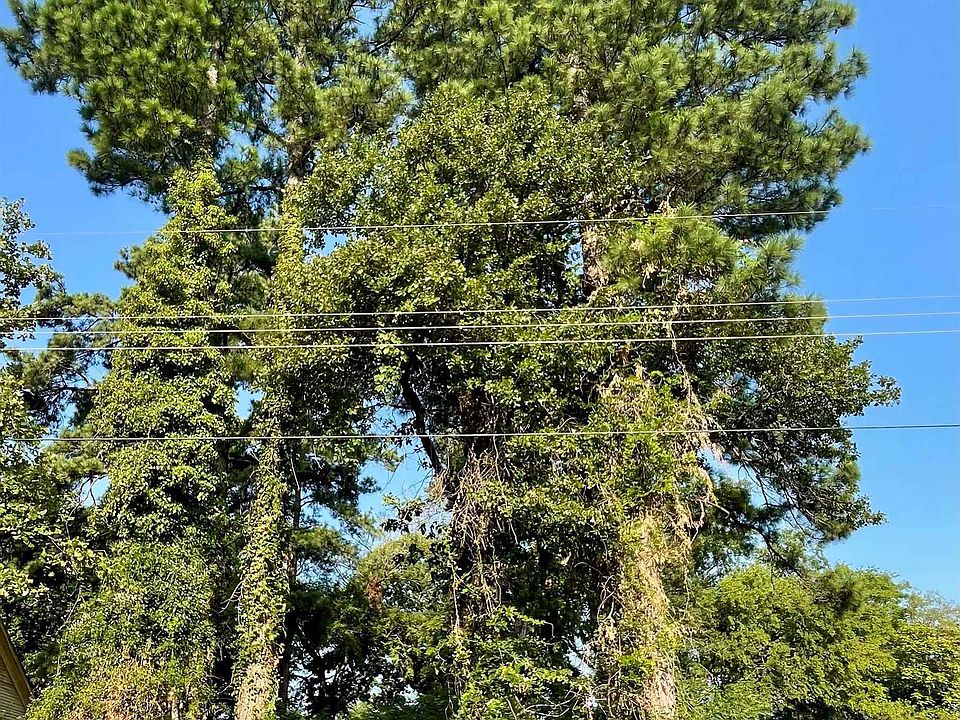 2nd image of 205 S Allen Blvd
