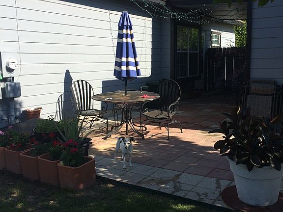 covered backyard patio