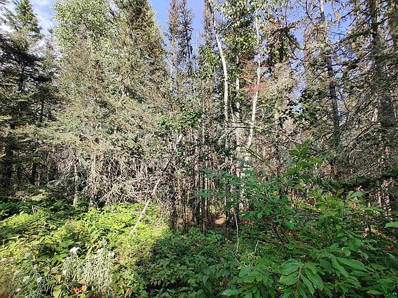 2nd image of XXX Gauthier Rd