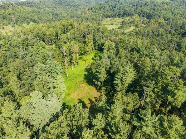Pumpkin Ridge Rd, Quaker City, OH 43773