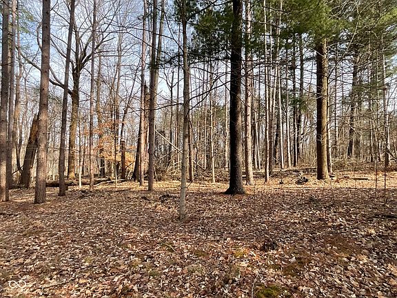 5th image of N Cove Rd