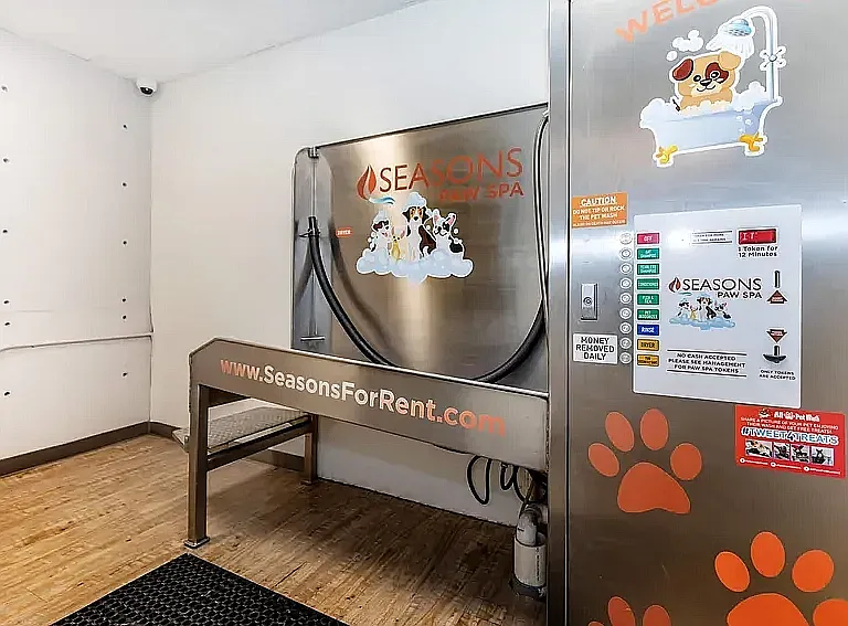 Dog Spa