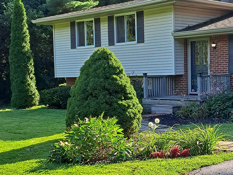 10218 Chester Dr — Photo 2