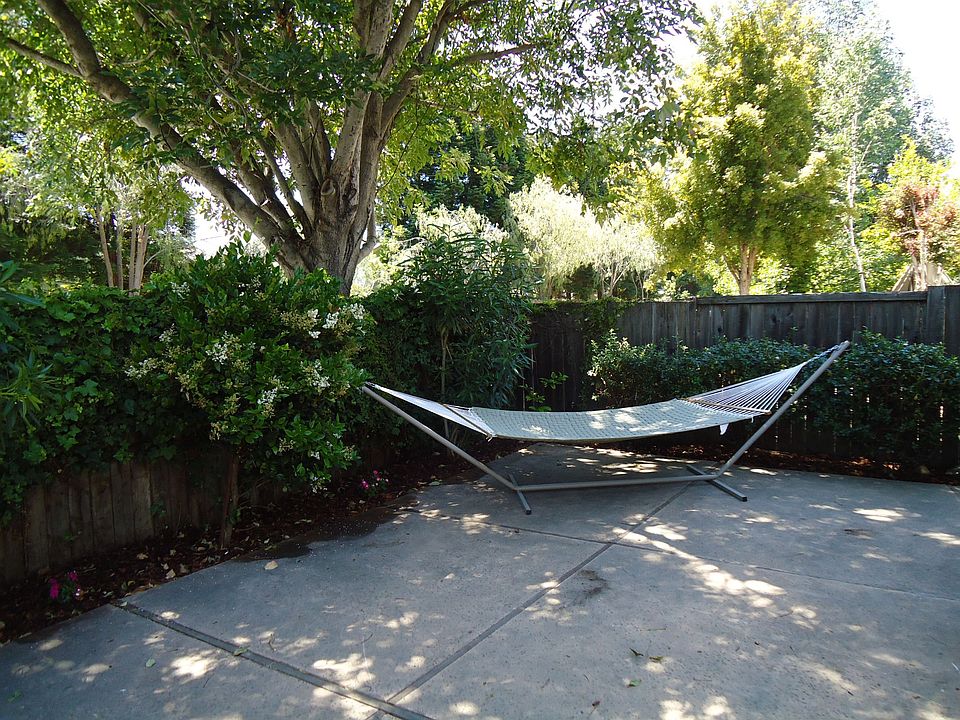 Relax In the Backyard