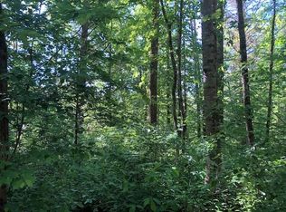 12 Charles Sondheimer Rd, Franklin, NC 28734