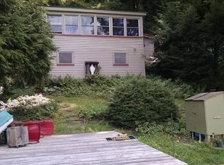 3819 S Goodhue Lake Rd, Addison, NY 14801